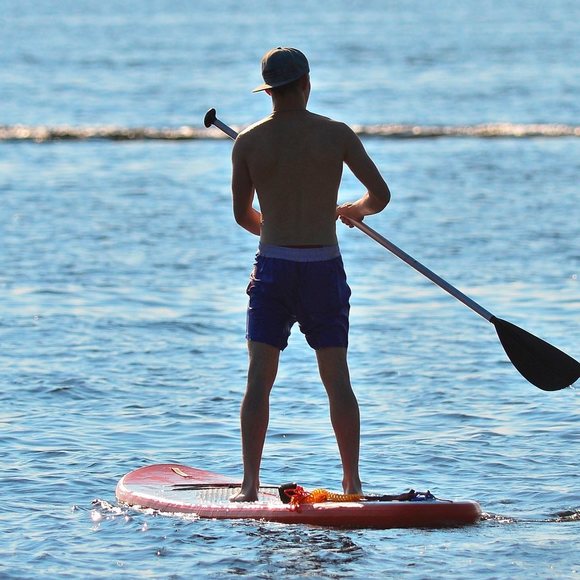 Meet your Posher, Dakota - Picture 1 of 1